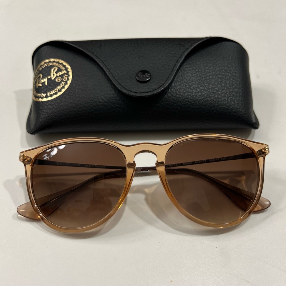 Ray-Ban Erika Sunglasses in Brown